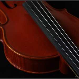 如何正确保护器乐演奏者的听力