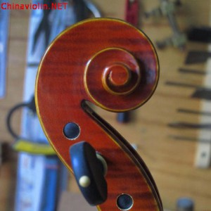 小提琴的学习年龄