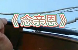 清明时节《念亲恩》