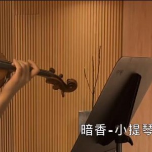 专业小提琴家演奏的《暗香》