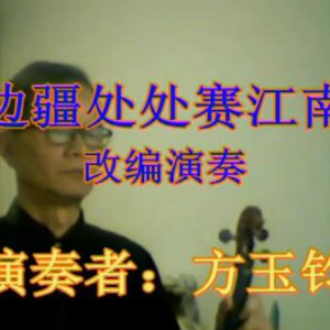 《边疆处处赛江南》改编演奏