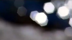 英文版《女人花》