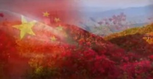 小提琴演奏(井冈山上太阳红)