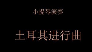 小提琴演奏(土耳其进行曲)