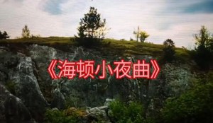 《海顿小夜曲》
