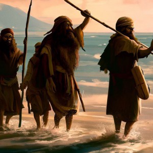 《可可托海的牧羊人》记谱演奏