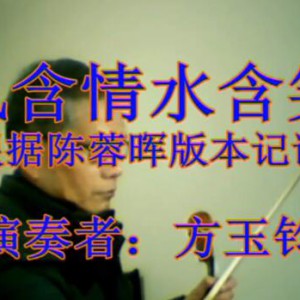 《风含情水含笑》视频演奏