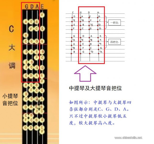 小-中-大提琴共性指板音、指法示意图.jpg